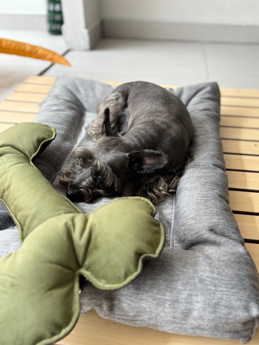 Camita lino gris mediana